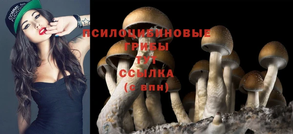 твердый Верхнеуральск
