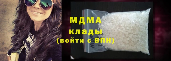 прущие грибы Бронницы