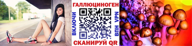 Псилоцибиновые грибы Psilocybine cubensis  Касимов 