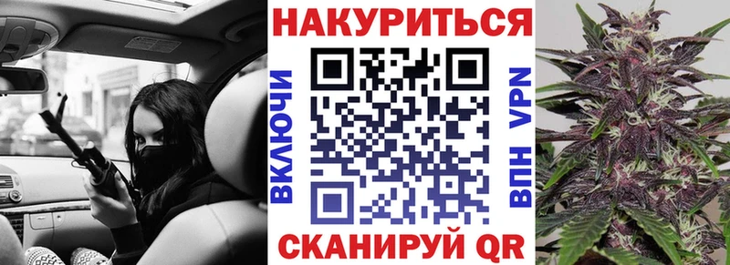 Канабис гибрид  Касимов 